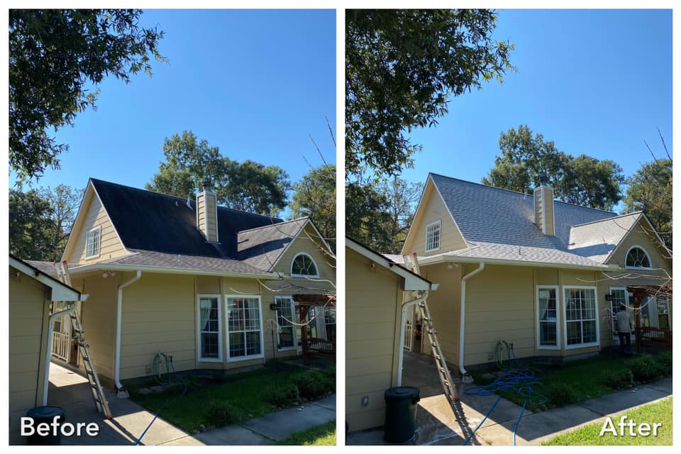 Roof Cleaning