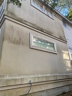 Green mold on patio cleaned pressure washed